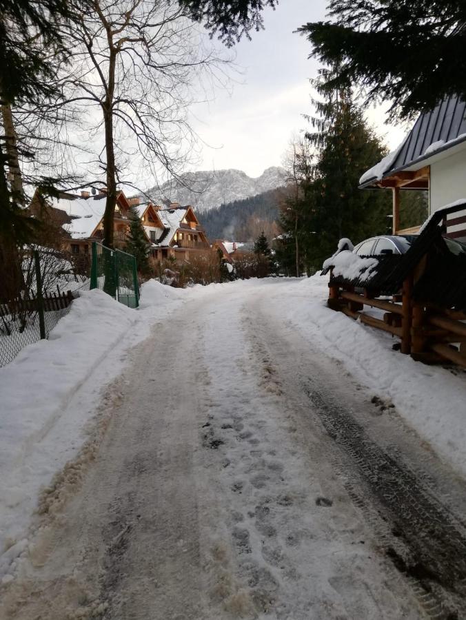 Apartamenty Villa Ski-Bowki Zakopane Exteriér fotografie