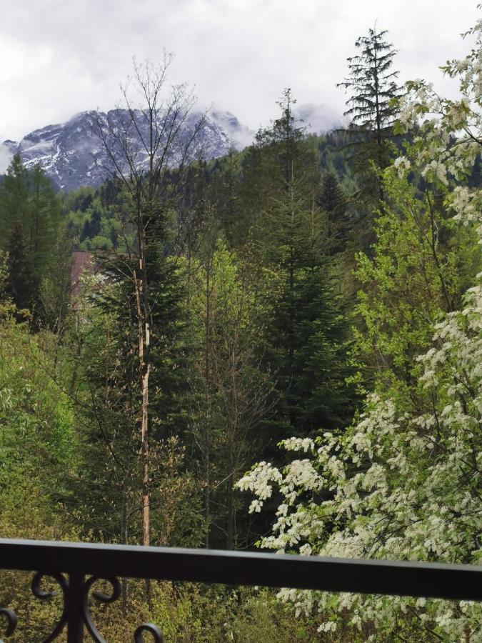 Apartamenty Villa Ski-Bowki Zakopane Exteriér fotografie