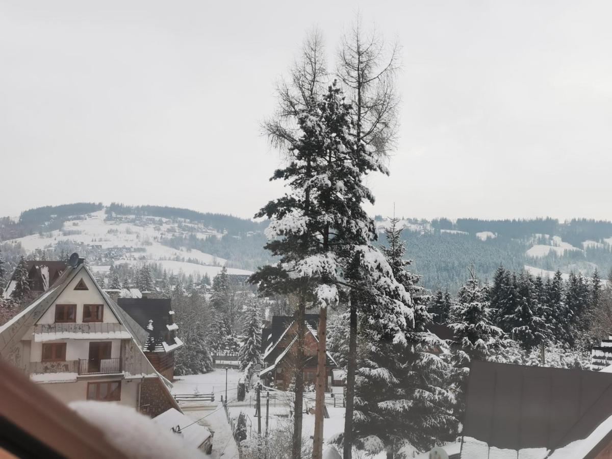 Apartamenty Villa Ski-Bowki Zakopane Exteriér fotografie